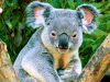 Captcha image 2237