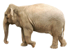 Captcha image 8501