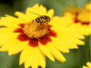 Captcha image 6726